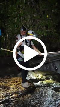 BIB:  <button type="button" onclick="openModal(27709440)" class="btn btn-primary btn-sm float-right" data-toggle="modal" data-target=".modal-high-quality">
                <i class="fa fa-download"></i> Download
                </button>